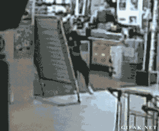 27 Gifs que demuestran que el karma existe!