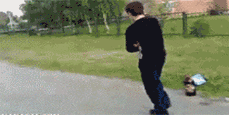 gifs fail