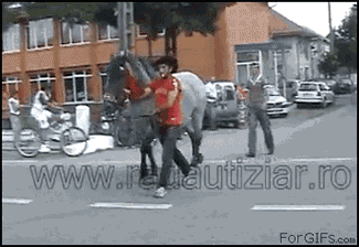 Gifs