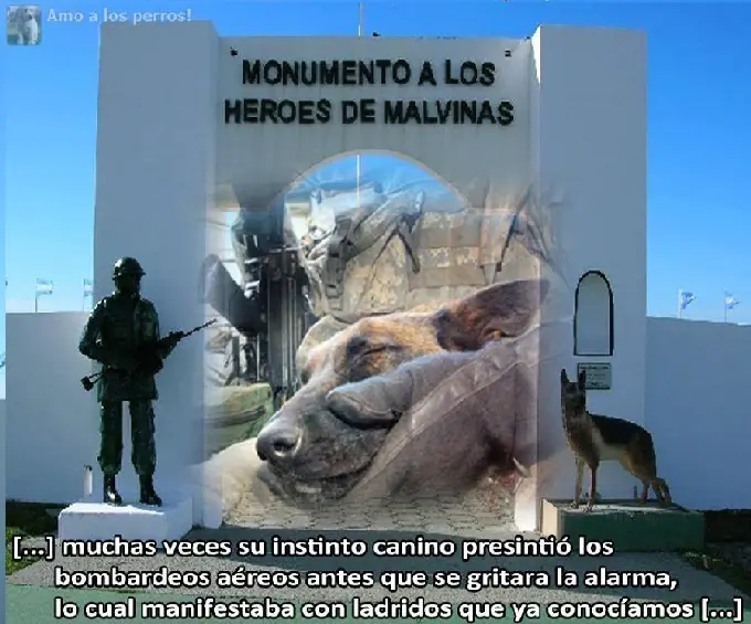 Billetes de 500$ y de 1000$, que proceres deberian estar