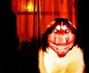 paranormal