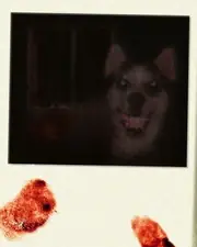 Creepypasta 20: El origen de Smile.jpg