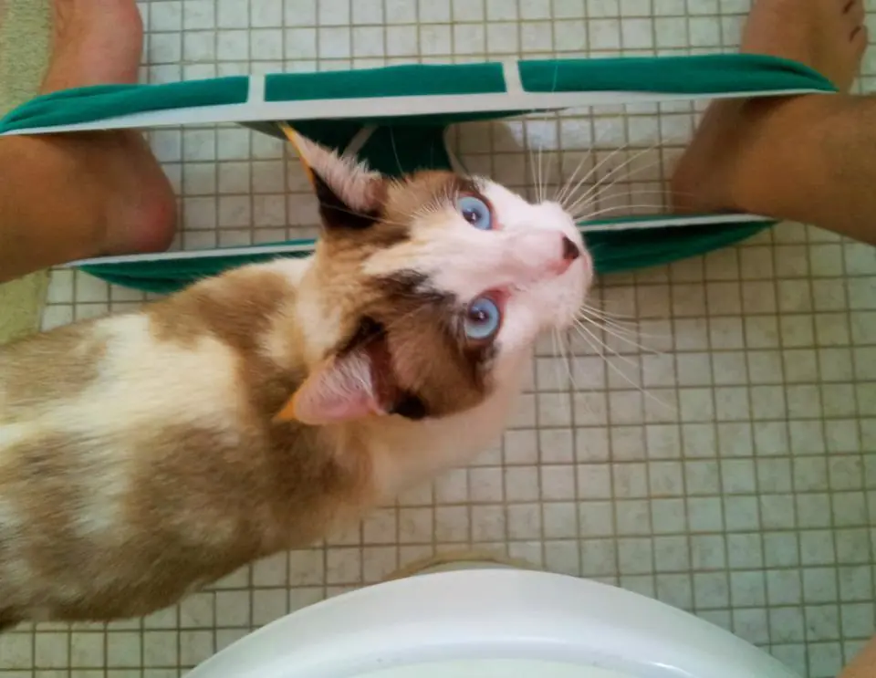 El Bananero: 10 cosas que no sabías del Youtuber.