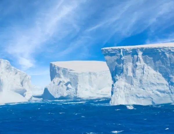 Descubren un ecosistema completo bajo el hielo de la Antárti