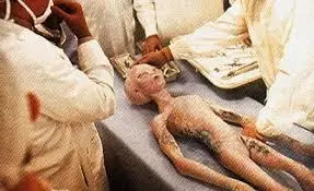 el area 51