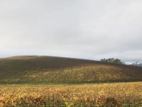 windows xp
