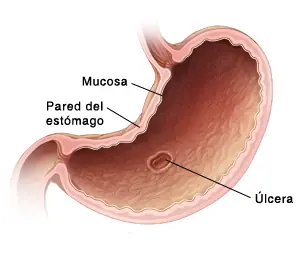conocimientos