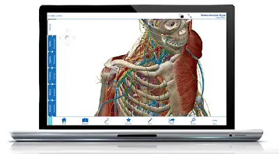 Atlas de Anatomía Humana Completo