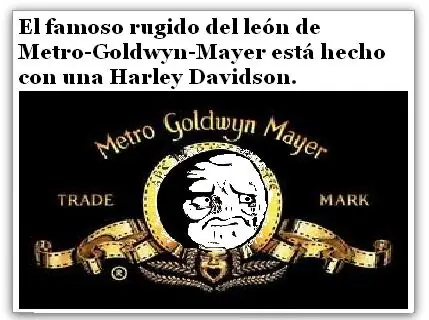 Curiosidades con los Memes ( 2da Parte )