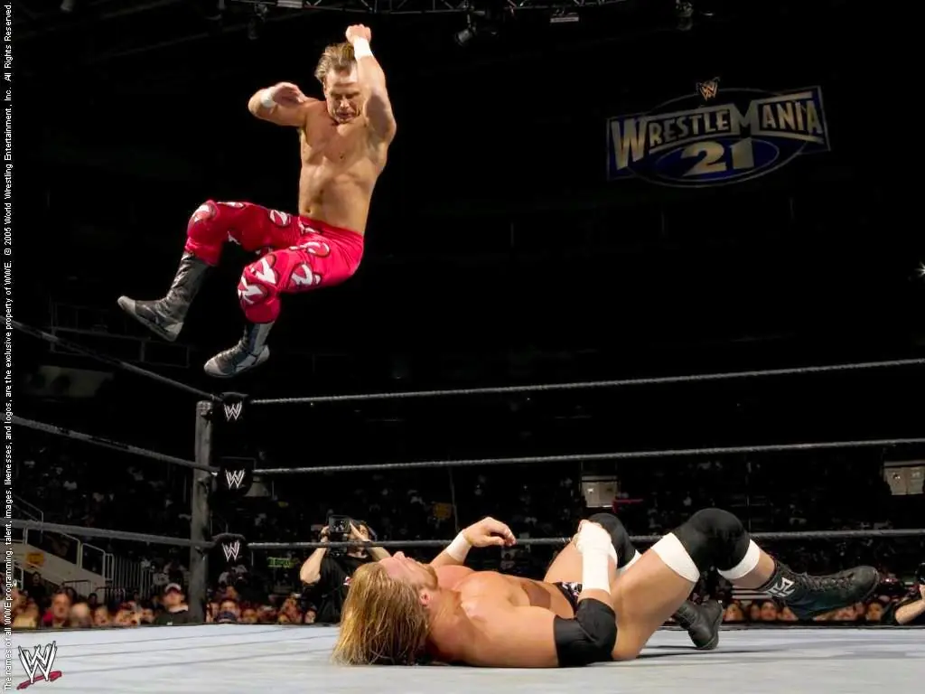 shawn michaels
