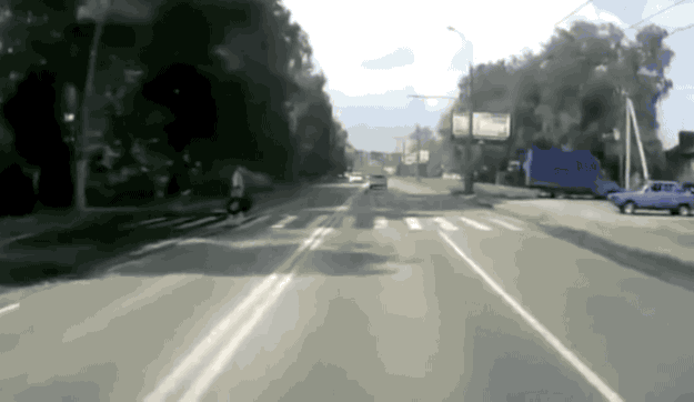Gifs