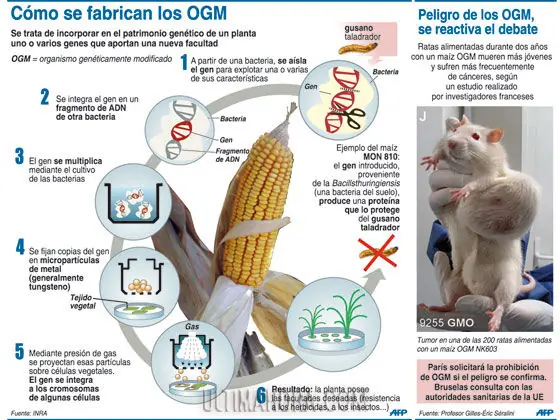 proteccion