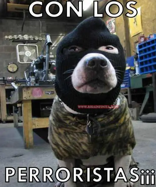 Selección de Humor Gráfico