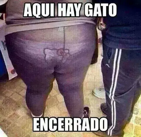 Memes e imágenes graciosas