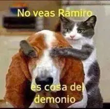 Humor Grafico