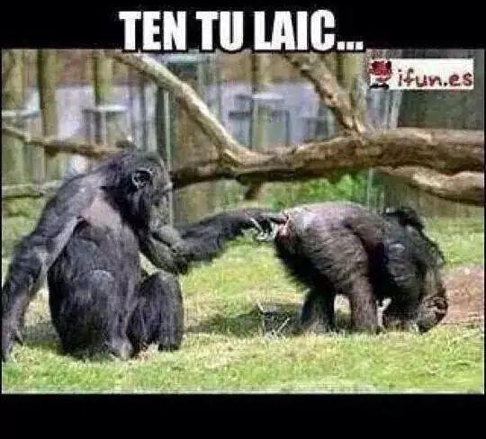Memes e imágenes graciosas