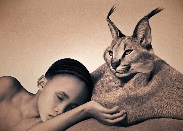 gregory colbert