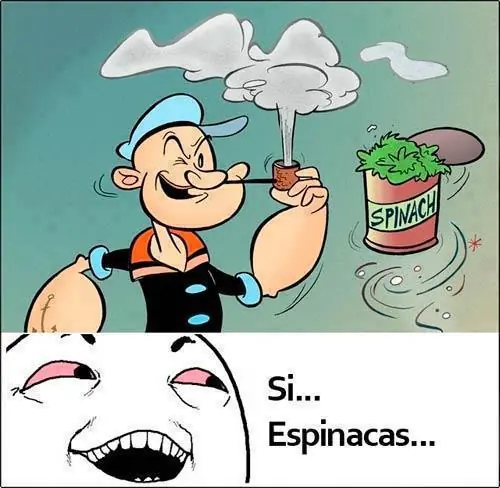 Selección de Humor Gráfico