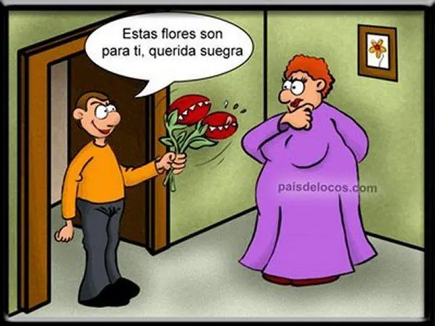 humor