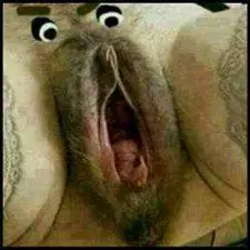 meme imagenes