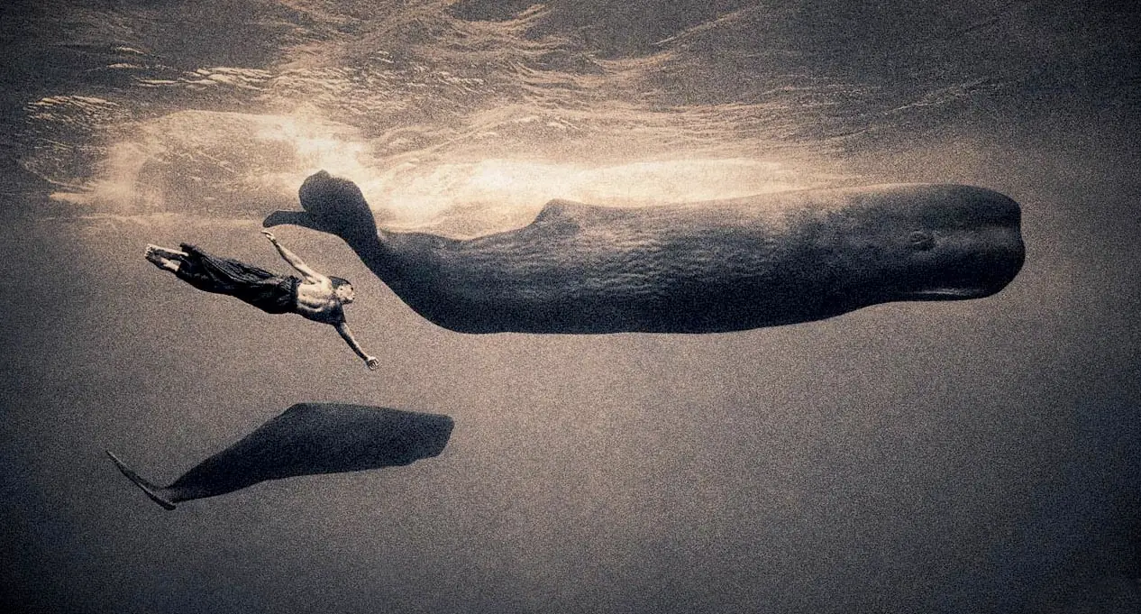 la princesa de los elefantes