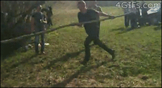 Gifs