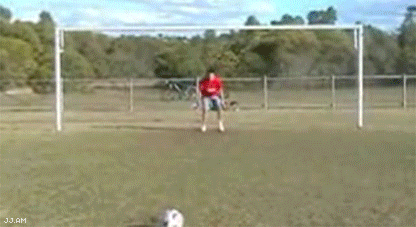 Gifs