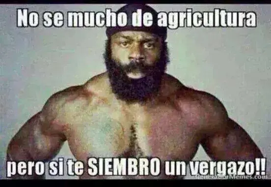 memes