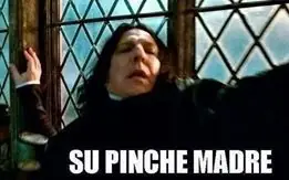 memes para facebook