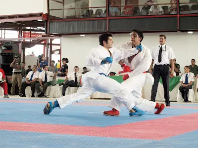 megapost sobre artes marciales
