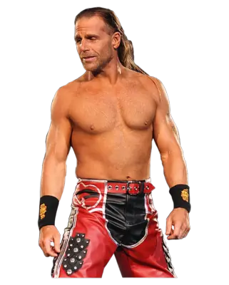 Shawn Michaels