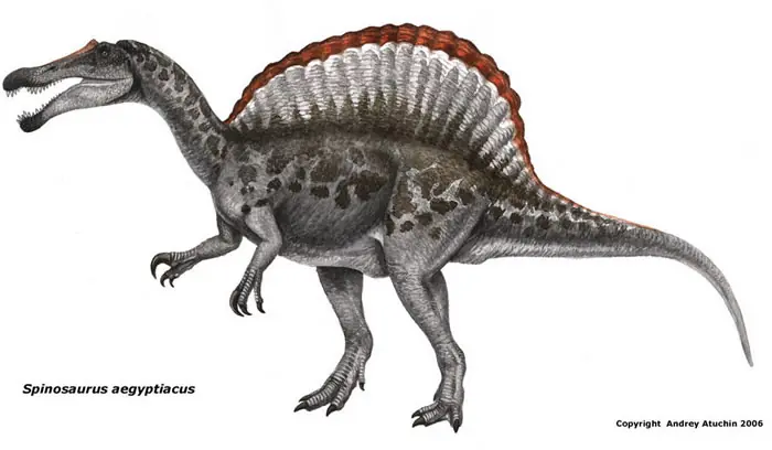 Las teorías del Spinosaurus Aegyptiacus