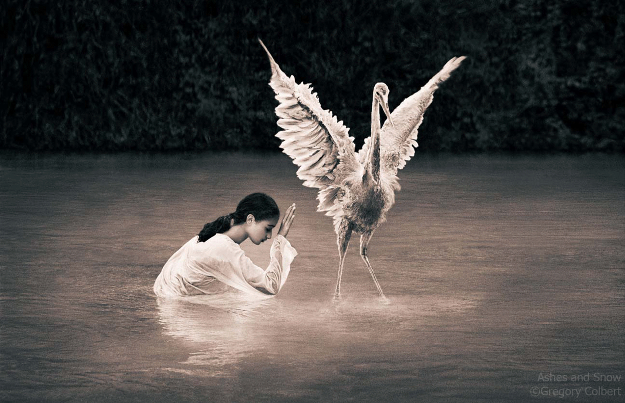 gregory colbert