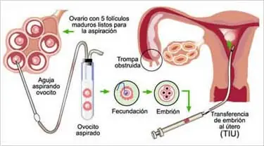 cientificos