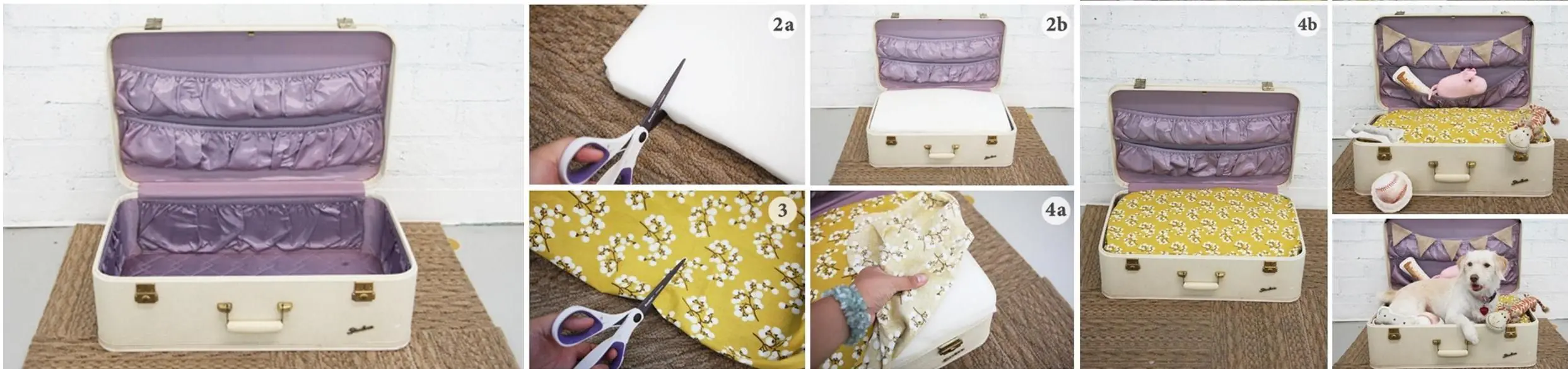 cuchas para perros