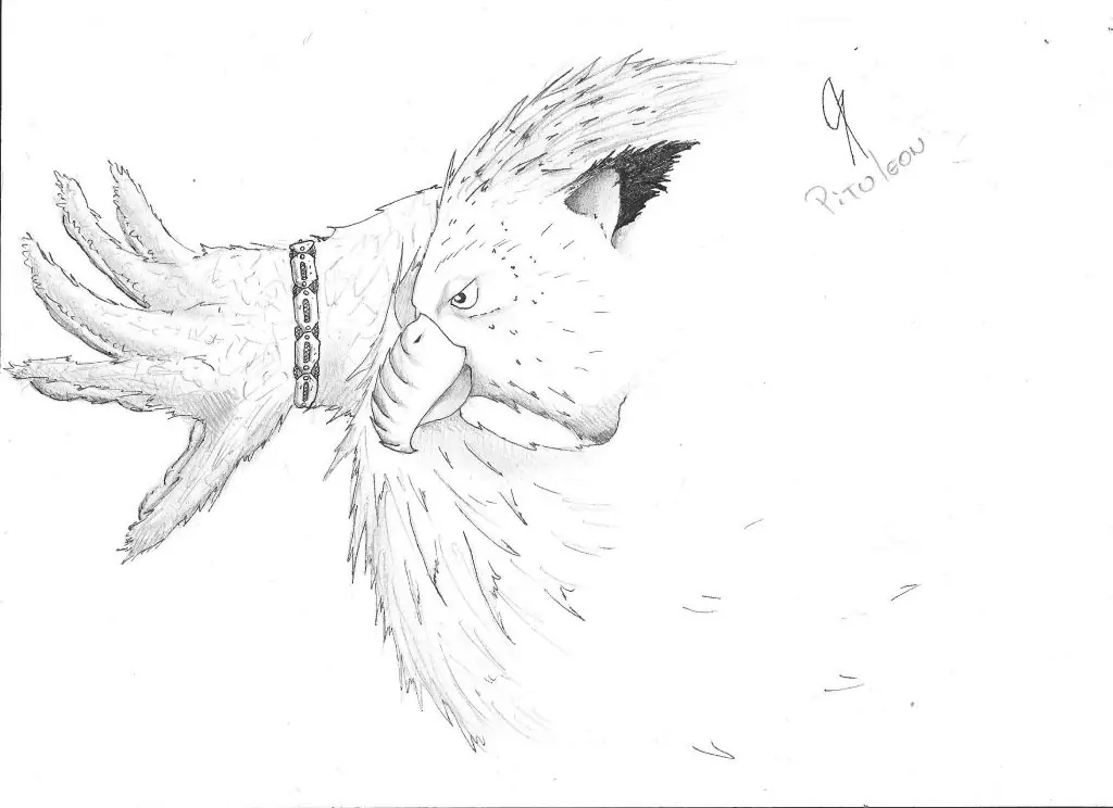 Mas dibujos