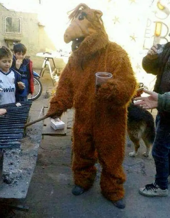 Ivo Cutzarida me tiene la g..... por los suelos