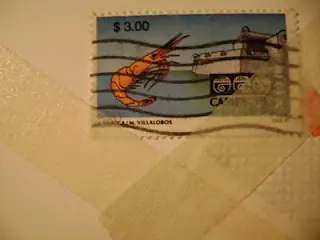 Pedro Miguel, Artista Plastico algunas de sus Obras.