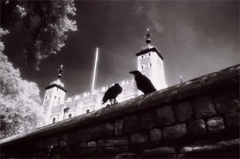 prision