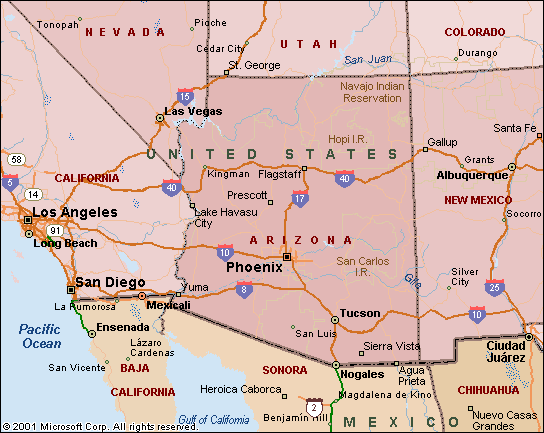 Naranja: Fué Primero el Color o la Fruta?