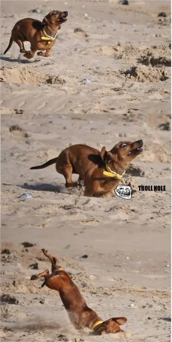 humor