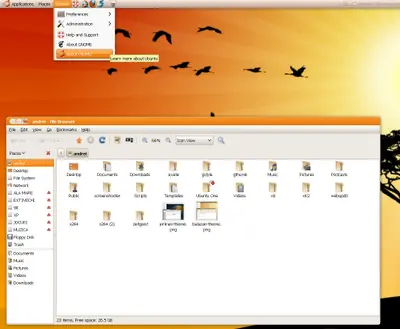 Bisigi: temas geniales para Ubuntu 10.04
