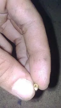 Que