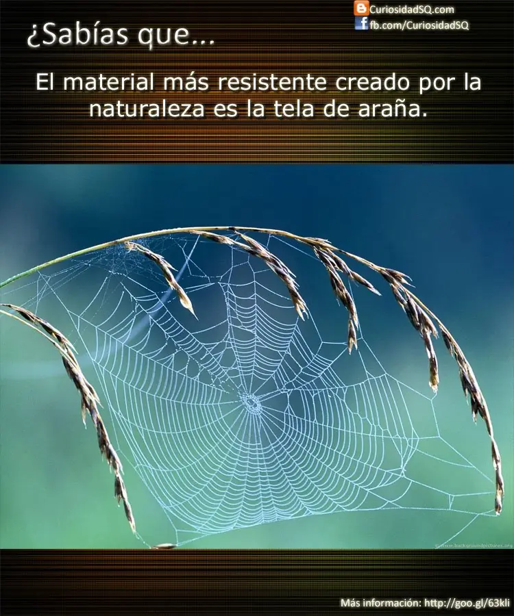 No lo sabia