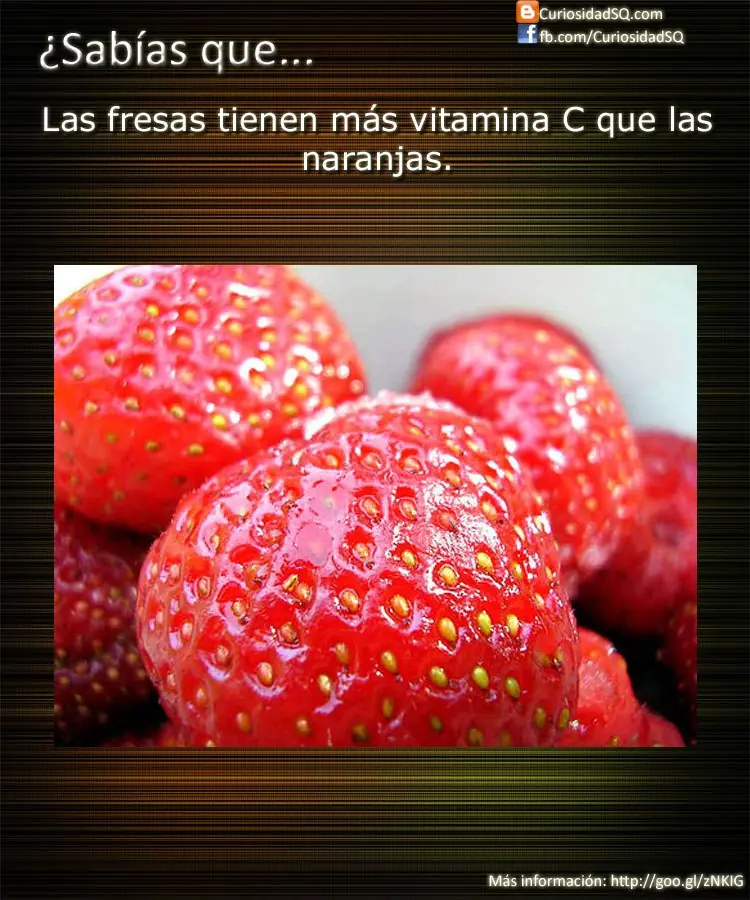 sabias que taringa