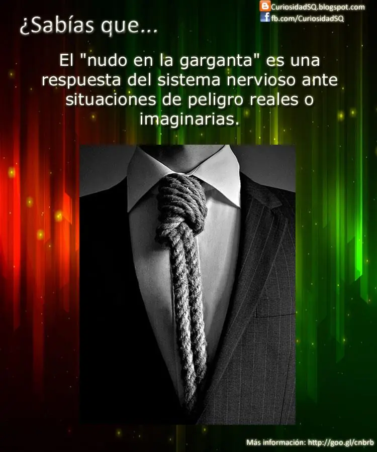 ¿Sabías que? [Parte 4]