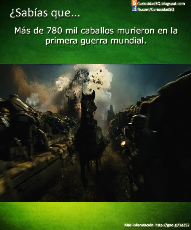 sabias que