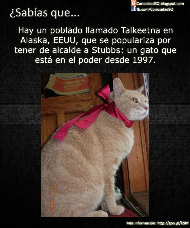 sabias