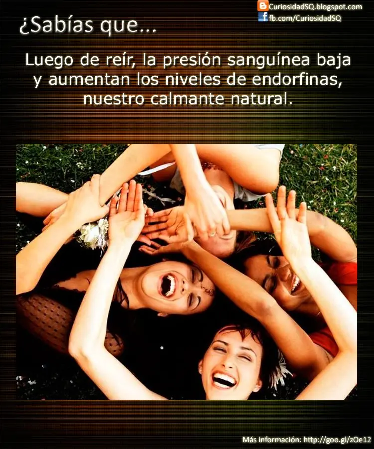 datos curiosos