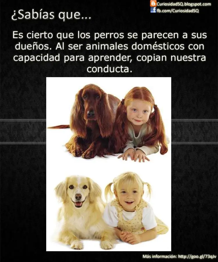 ¿Sabías que? [Parte 4]